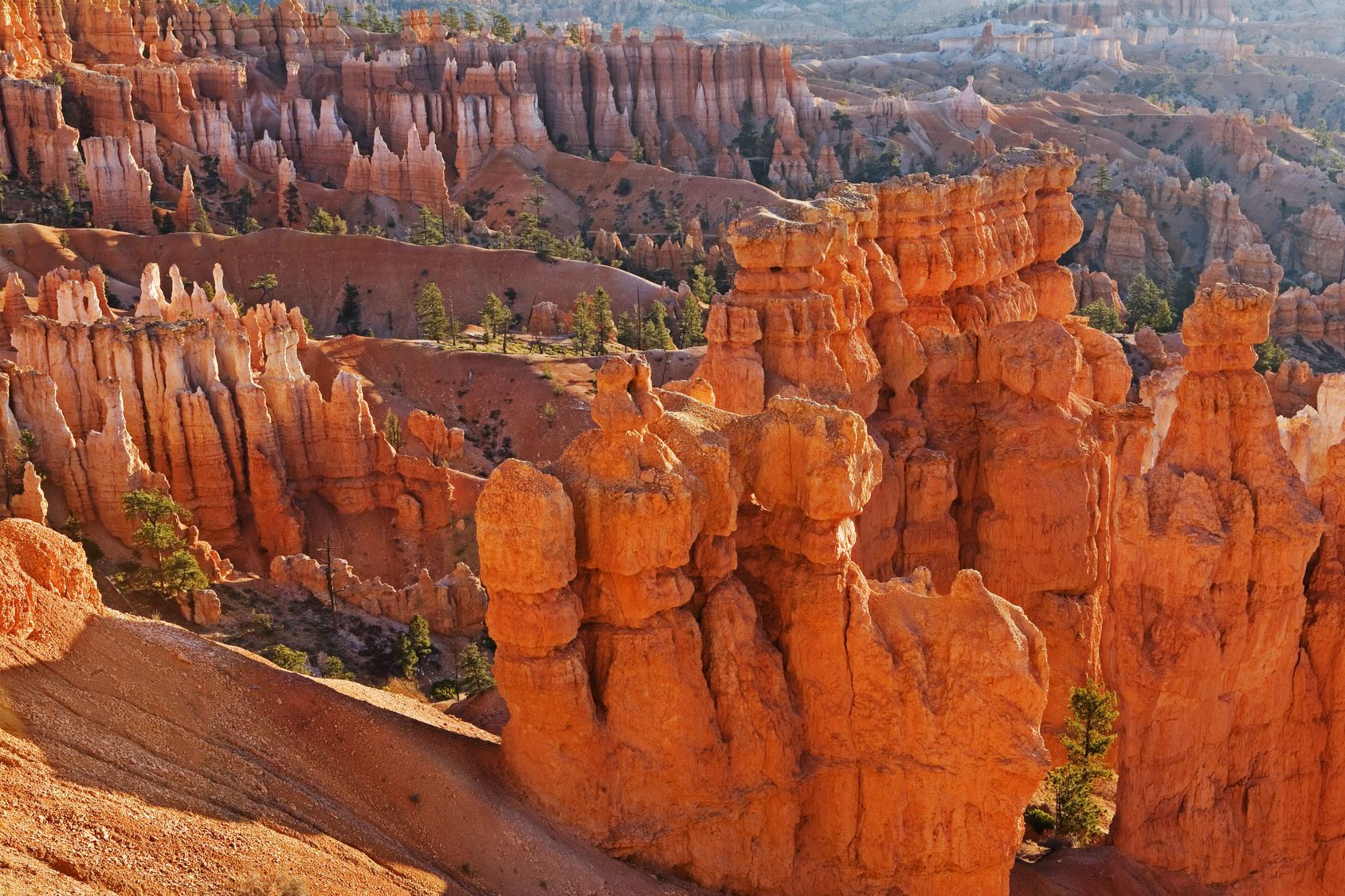 The Navajo Trail in Zion National Park, Utah