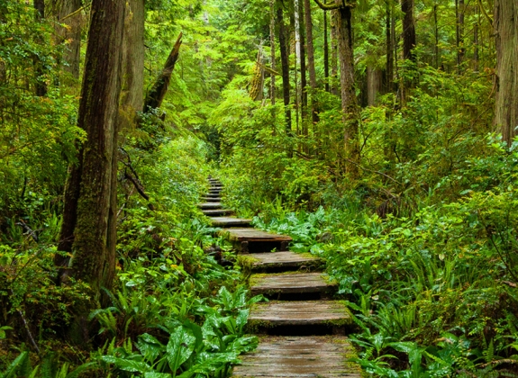 Join Amtrak Vacation's Live Webinars