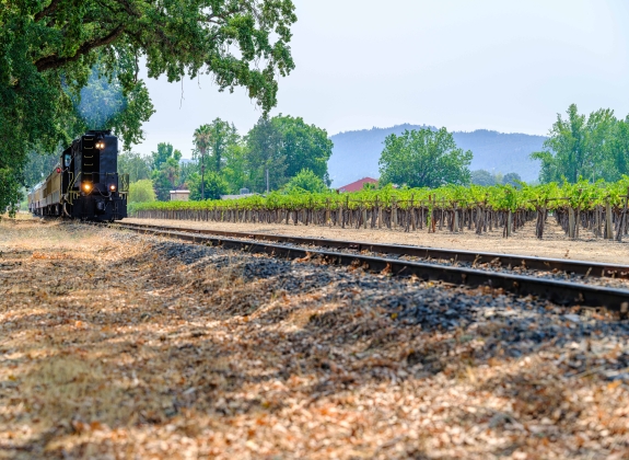Excursions Tours through the vineyards of Napa Valley