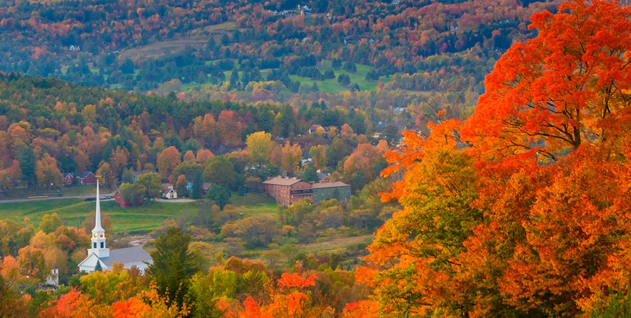 New England Fall Foliage Bus Tours 2025 Tabby Faustine