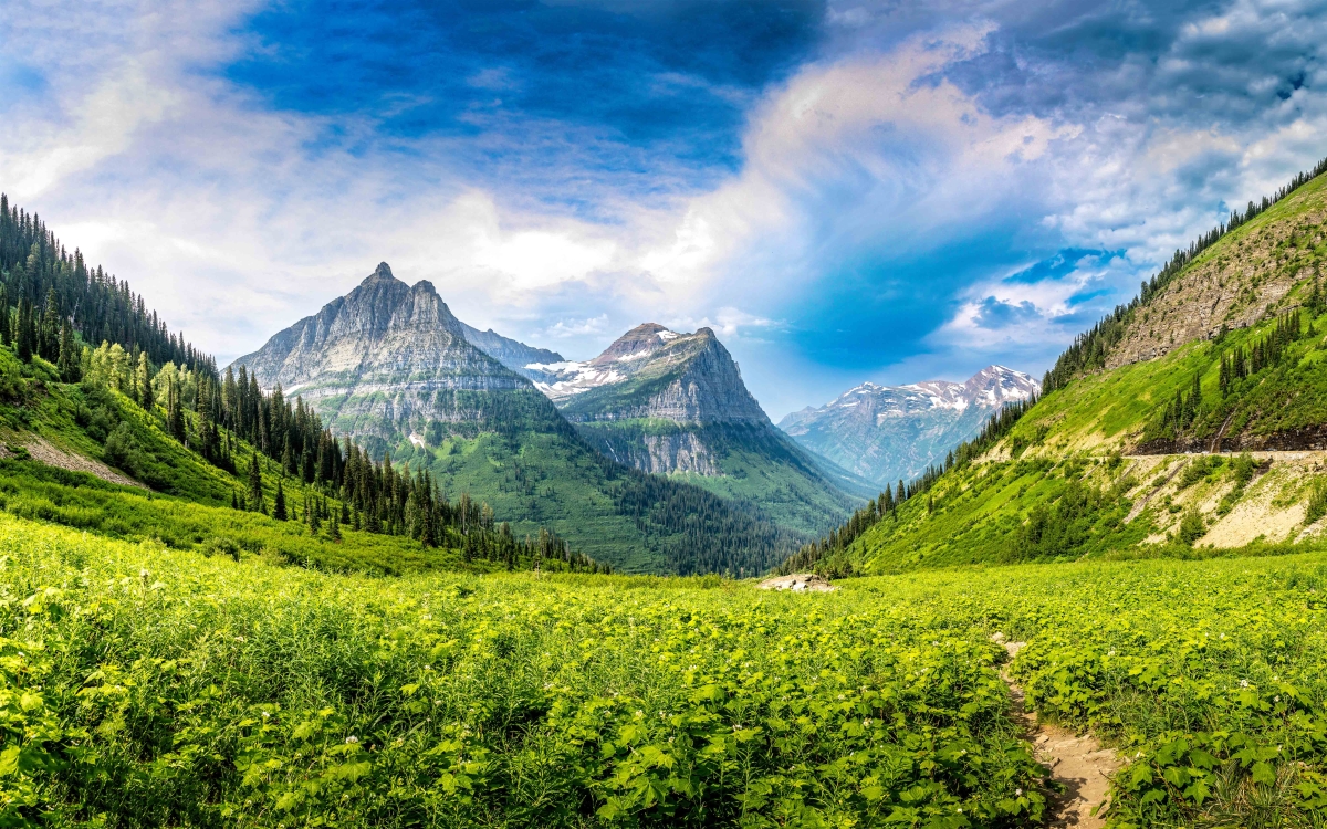 View of Glacier National Park in Montana on a sunny day