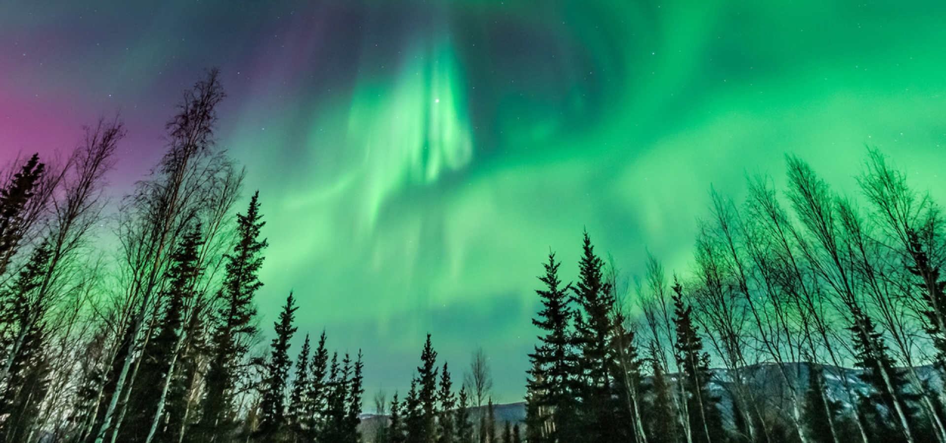 Northern-Lights-in-Fairbanks-AK