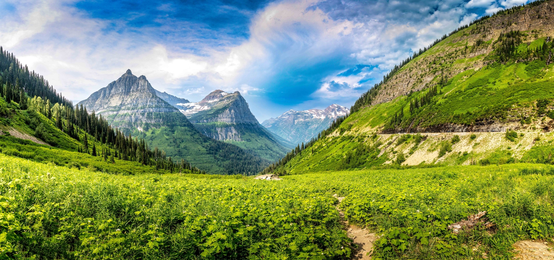 View of Glacier National Park in Montana on a sunny day